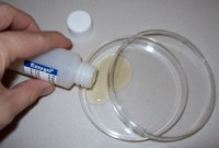 Microbiology Antibiotic Effects Science Fair Projects Kit